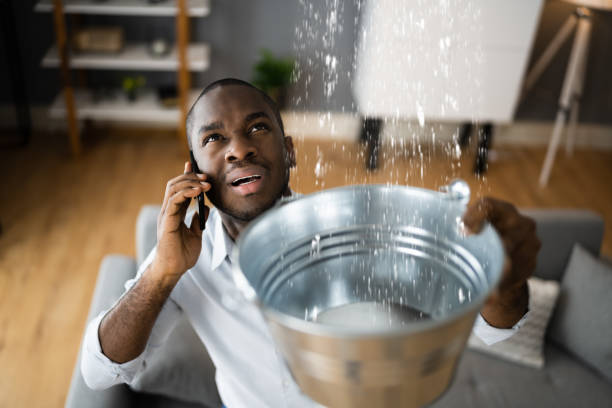 Best Commercial water damage restoration  in Oak Hill, FL