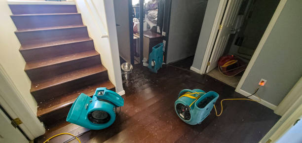 Best Fire Damage Restoration  in Oak Hill, FL