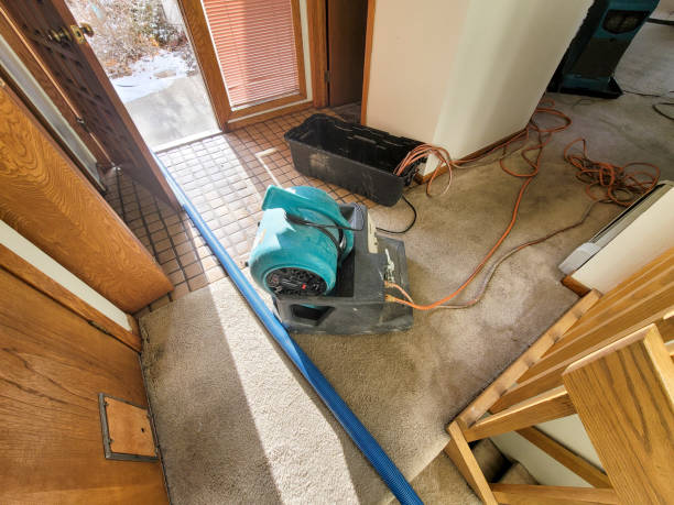 Best Flooded house restoration  in Oak Hill, FL