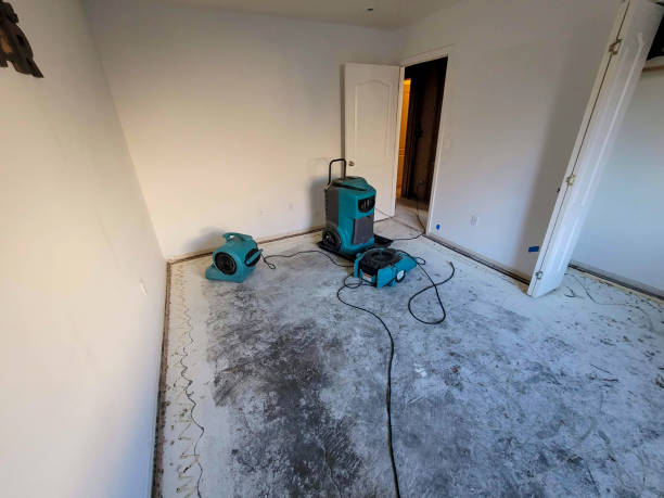 Best Water damage restoration near me  in Oak Hill, FL