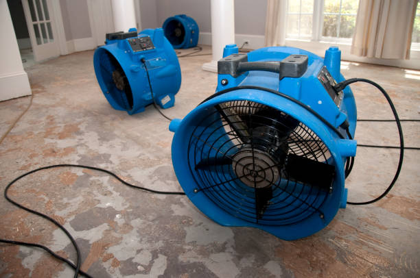 Best Basement water damage restoration  in Oak Hill, FL