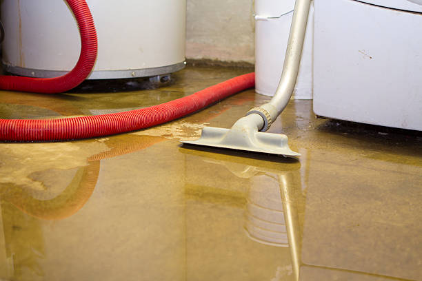 Best Carpet water damage restoration  in Oak Hill, FL
