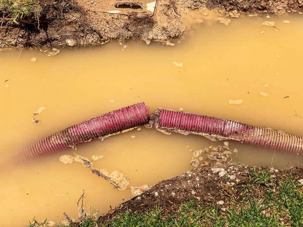 Best Water damage restoration services  in Oak Hill, FL